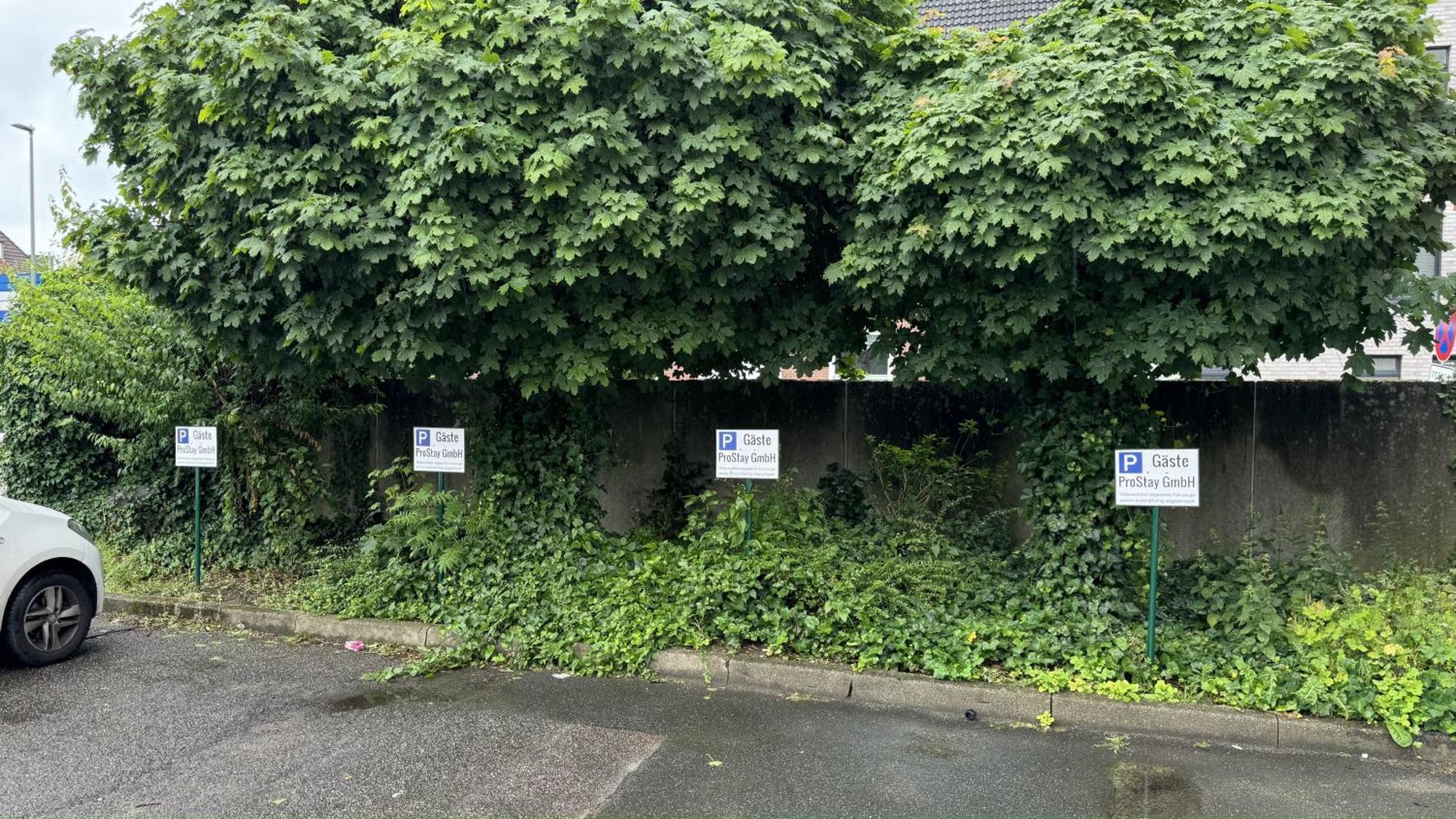 Apartments Im Herzen Von Neumuenster Innenstadt & Hbf Fusslaeufig, Mit Privatparkplatz Neumünster Exterior foto